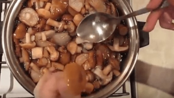 Опята жареные с луком и сметаной на сковороде - рецепт приготовления с фото