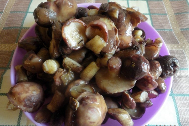 Как жарить маслята: быстрые и вкусные рецепты приготовления на сковороде, сколько по времени жарить до готовности, не отваривая, как готовить со сметаной и луком