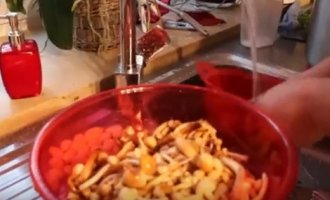 Покроковий рецепт, як солити опеньки різними способами у банках