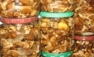 Покроковий рецепт, як солити опеньки різними способами у банках