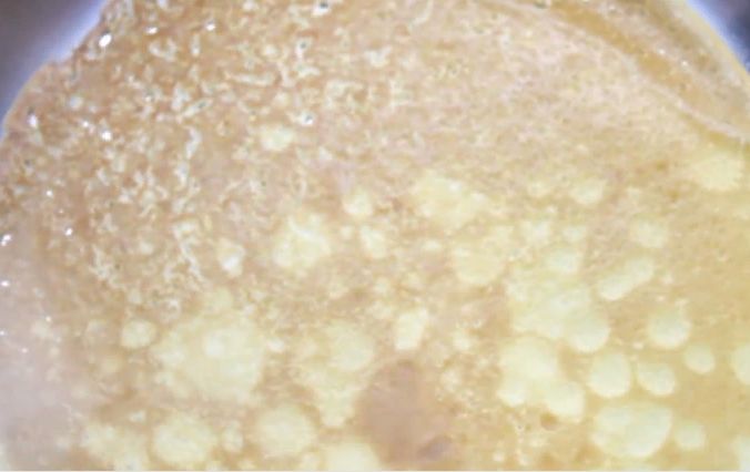 Блины с красной рыбой и сливочным сыром – 6 пошаговых рецептов приготовления