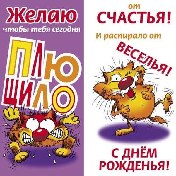 Поздравления с днём рождения женщине – Красивые и прикольные поздравления