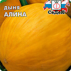 Когда и как сажать дыни на рассаду в 2019 году по лунному календарю, в регионах