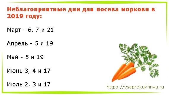 Посадка моркови весной в открытый грунт семенами Правильный посев, когда сажать