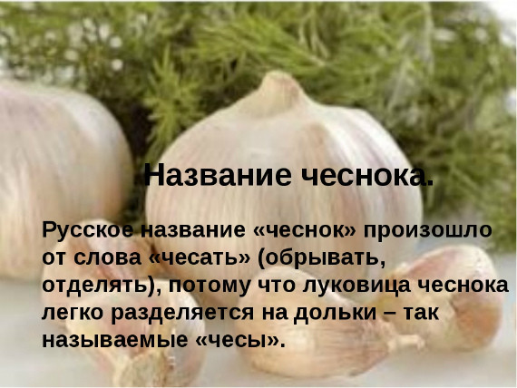 Чеснок: полезные свойства и противопоказания Для женщин Для мужчин Суточная доза Рецепты