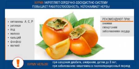 8 корисних властивостей хурми, склад і калорійність фрукта