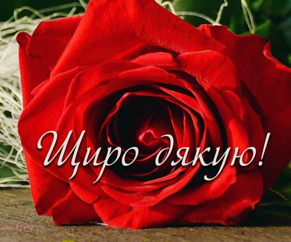 Зворушливі cлова подяки батькам своїми словами, до сліз