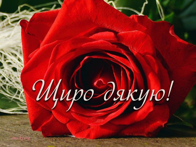 Зворушливі cлова подяки батькам своїми словами, до сліз