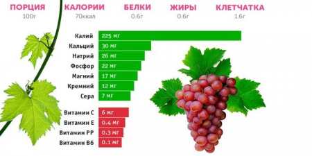 8 корисних властивостей винограду для краси, здоров’я та довголіття