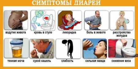 Діарея — причини і як лікувати в домашніх умовах