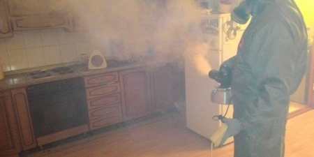 Обробка деревини від грибка і цвілі — професійна дезінфекція