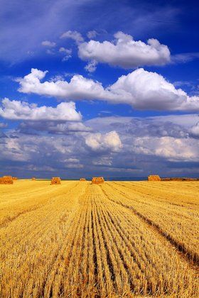 Зворушливі привітання з Днем захисника України