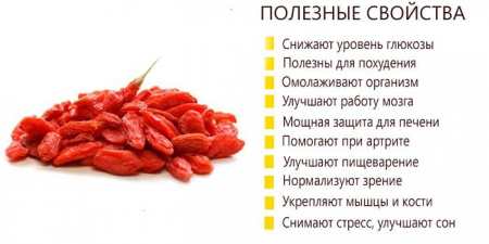 Користь і шкода ягід годжі — властивості, ефективність та протипоказання