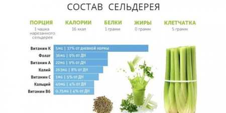 9 властивостей соку селери для краси і здоров’я — як правильно пити