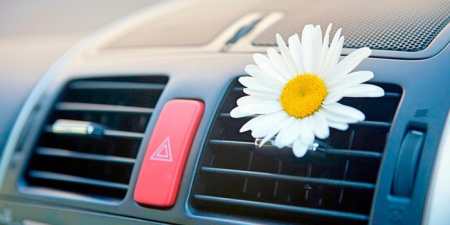 Як позбавитися від запаху в салоні автомобіля — огляд ефективних способів з описом