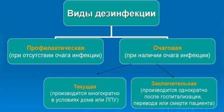 Дезінфекція приміщення — проведення профілактичної та осередкової