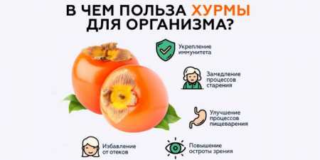 8 корисних властивостей хурми, склад і калорійність фрукта