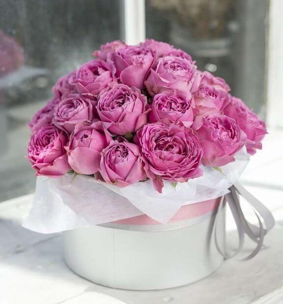 Гарні привітання з днем фірми у прозі