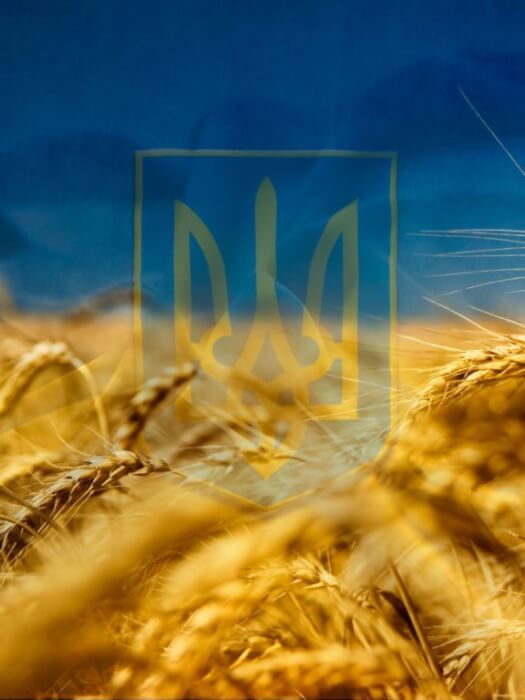 Короткі привітання з Днем захисника Вітчизни своїми словами, у прозі