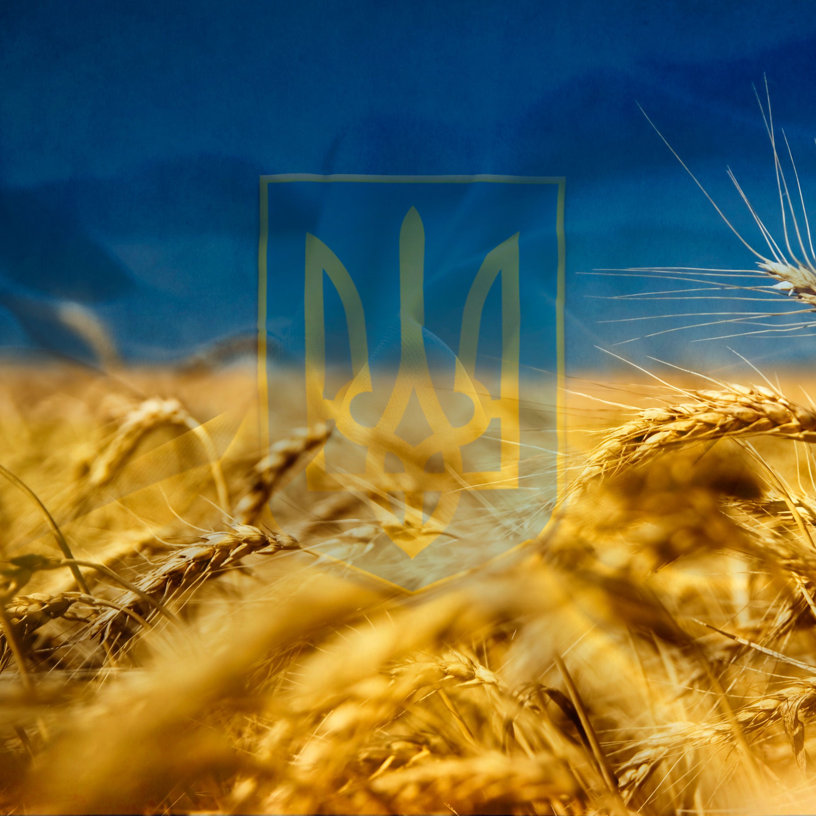 Короткі привітання з Днем захисника Вітчизни своїми словами, у прозі