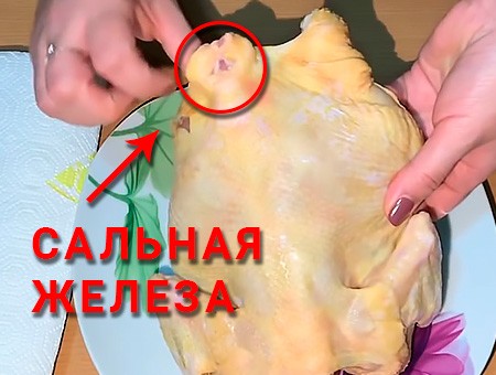 Курка на солі цілком просте святкове блюдо