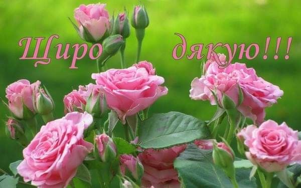 Найкращі cлова подяки своїми словами, до сліз