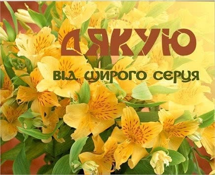Щиросердечні слова дякую за привітання з днем народження своїми словами, у прозі