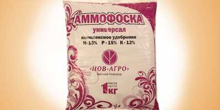 Добриво для полуниці — для молодої і дорослої рослини, коли, як і скільки вносити, рекомендації з фото