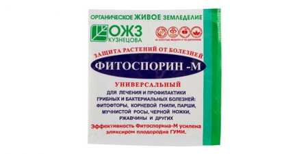 Чим підживити цибулю, щоб не жовтіла — методи боротьби зі шкідниками, нестачею азоту і грибковими хворобами