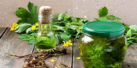 Чим труїти колорадського жука на картоплі