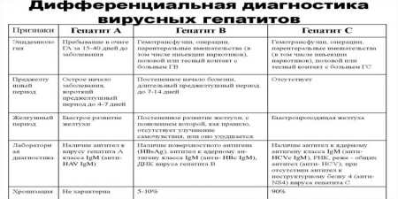 Аналіз крові на гепатит: підготовка і розшифровка