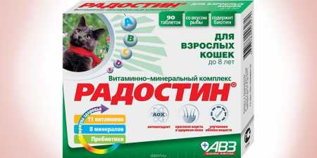 5 кращих мультивітамінів для кішок — огляд препаратів з описом та дозуванням