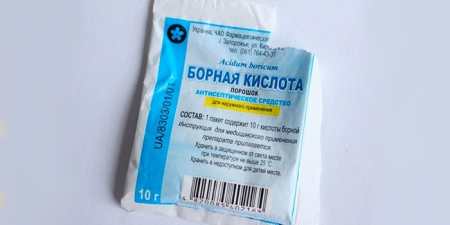 Як позбутися від осиного гнізда на балконі — ефективні методи і способи з описом