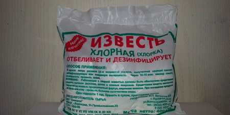 Народні засоби від мух — як вивести комах у приміщенні або на ділянці