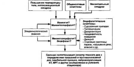Менінгоенцефаліт – що це таке, шляхи зараження, клінічна картина, способи терапії