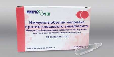 Протикліщовий імуноглобулін – інструкція препарату проти енцефаліту