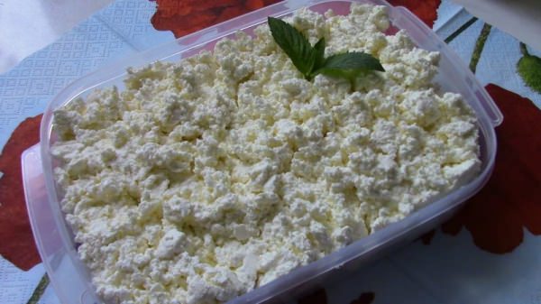 Як зробити сир з кислого молока – 7 правильних рецептів
