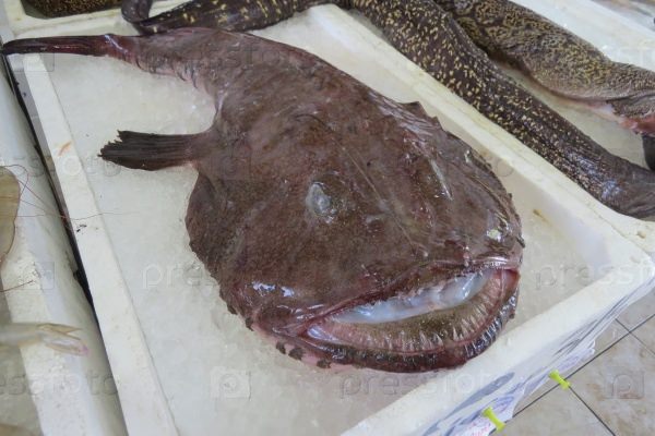 Риба морський чорт – як готувати? 5 рецептів