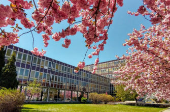 pryashivskii-universitet-u-slovachchini-dlya-ukrayinciv