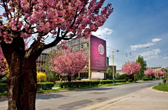pryashivskii-universitet-u-slovachchini-dlya-ukrayinciv