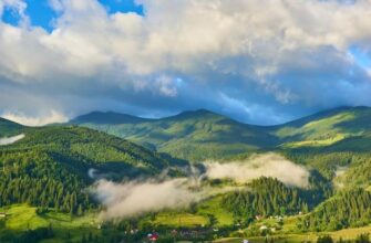 Зіплайн в Буковелі