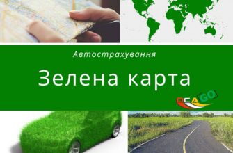 Поліс зелена карта